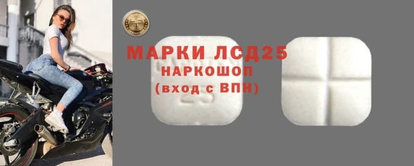 хмурый Алексин