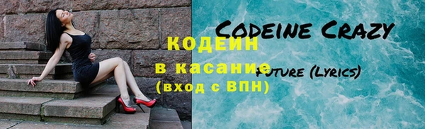 хмурый Алексин